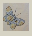 Abbildung 2 von 3 — Enhanced Butterflies