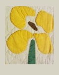 Abbildung 2 von 2 — Iris