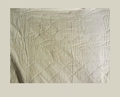 Abbildung 2 von 2 — White work (whole cloth)